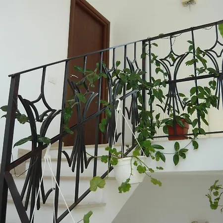 Casa Padurii