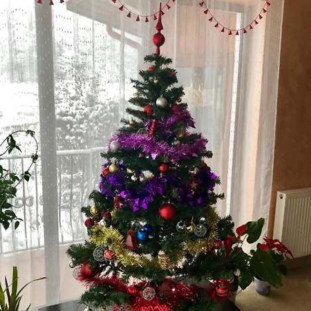 Casa Padurii 3* Slănic